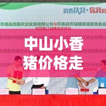 中山小香豬價(jià)格走勢(shì)大揭秘，最新行情分析！