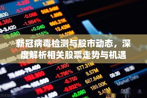 新冠病毒檢測與股市動態(tài)，深度解析相關(guān)股票走勢與機遇