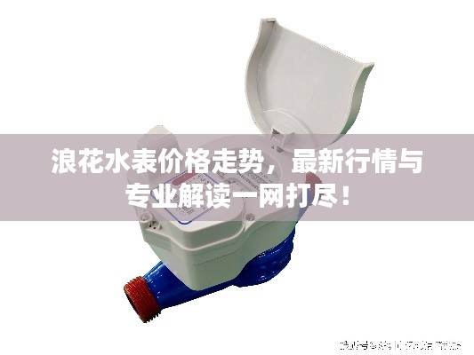 浪花水表價(jià)格走勢(shì)，最新行情與專(zhuān)業(yè)解讀一網(wǎng)打盡！