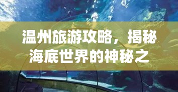 溫州旅游攻略，揭秘海底世界的神秘之旅