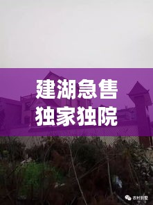 建湖急售獨(dú)家獨(dú)院，建湖哪里有30到40萬(wàn)的房子 