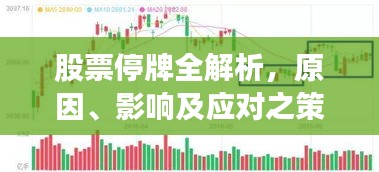 股票停牌全解析，原因、影響及應(yīng)對之策