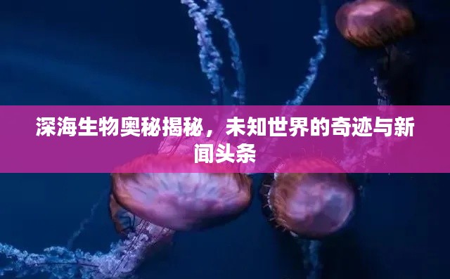 深海生物奧秘揭秘，未知世界的奇跡與新聞?lì)^條