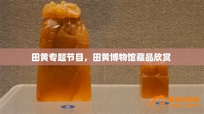 田黃專題節(jié)目，田黃博物館藏品欣賞 