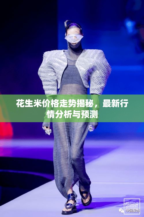 花生米價(jià)格走勢揭秘，最新行情分析與預(yù)測