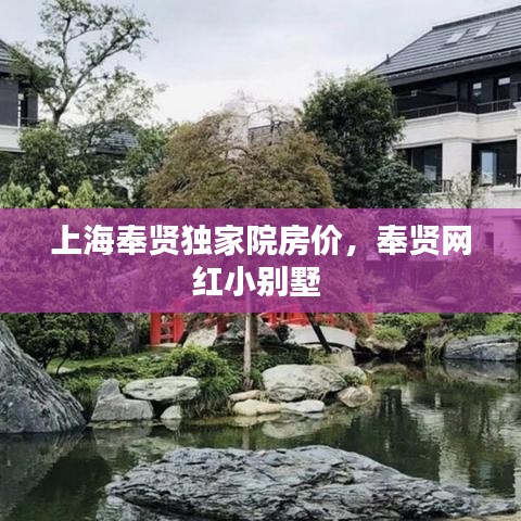 上海奉賢獨家院房價，奉賢網(wǎng)紅小別墅 