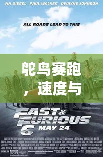 鴕鳥賽跑，速度與優(yōu)雅的激情競(jìng)技之旅