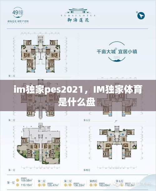 im獨(dú)家pes2021，IM獨(dú)家體育是什么盤 