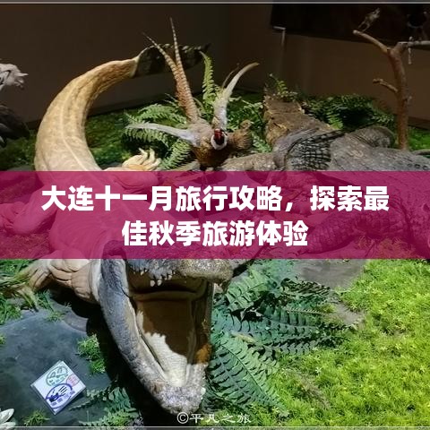 大連十一月旅行攻略，探索最佳秋季旅游體驗(yàn)