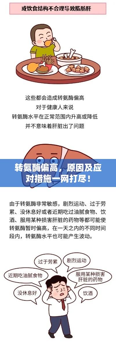 轉氨酶偏高，原因及應對措施一網(wǎng)打盡！