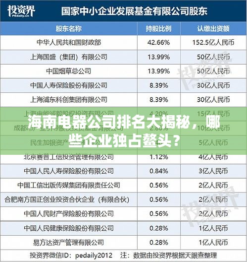 海南電器公司排名大揭秘，哪些企業(yè)獨(dú)占鰲頭？