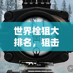 世界栓狙大排名，狙擊槍界的翹楚榜單揭曉！
