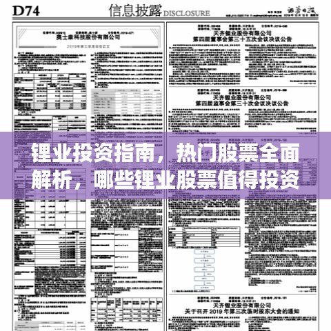 鋰業(yè)投資指南，熱門股票全面解析，哪些鋰業(yè)股票值得投資？