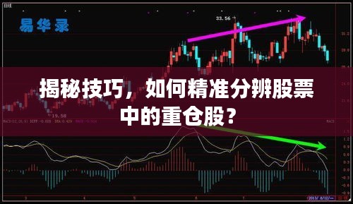揭秘技巧，如何精準(zhǔn)分辨股票中的重倉(cāng)股？