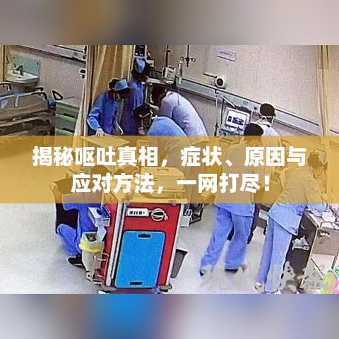 揭秘嘔吐真相，癥狀、原因與應(yīng)對(duì)方法，一網(wǎng)打盡！
