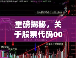 重磅揭秘，關(guān)于股票代碼002294的全面深度解讀與分析