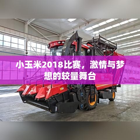 小玉米2018比賽，激情與夢想的較量舞臺