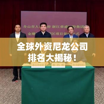 全球外資尼龍公司排名大揭秘！