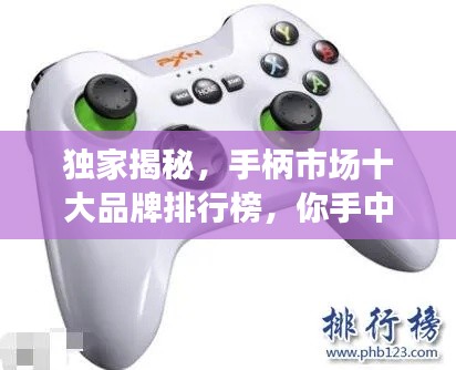 獨(dú)家揭秘，手柄市場十大品牌排行榜，你手中的手柄上榜了嗎？