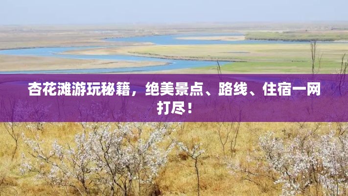杏花灘游玩秘籍，絕美景點、路線、住宿一網(wǎng)打盡！