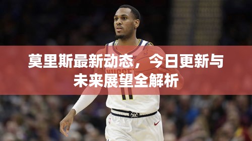 莫里斯最新動態(tài)，今日更新與未來展望全解析