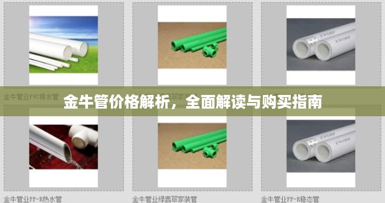 金牛管價(jià)格解析，全面解讀與購(gòu)買指南
