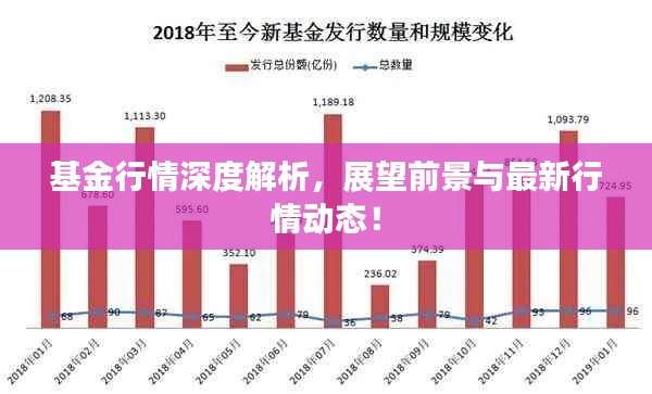基金行情深度解析，展望前景與最新行情動態(tài)！