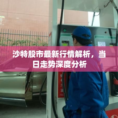 沙特股市最新行情解析，當日走勢深度分析