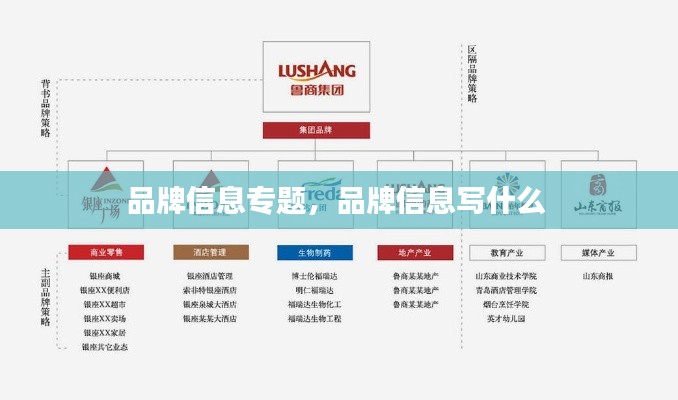 品牌信息專題，品牌信息寫什么 