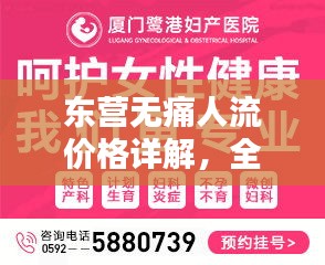 東營(yíng)無(wú)痛人流價(jià)格詳解，全面解析與比較