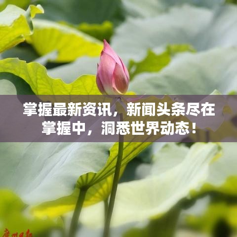 掌握最新資訊，新聞?lì)^條盡在掌握中，洞悉世界動(dòng)態(tài)！