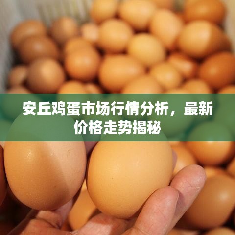 安丘雞蛋市場(chǎng)行情分析，最新價(jià)格走勢(shì)揭秘