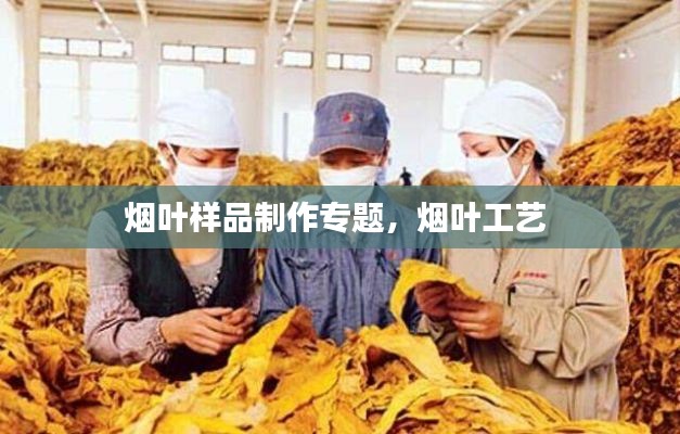 煙葉樣品制作專題，煙葉工藝 