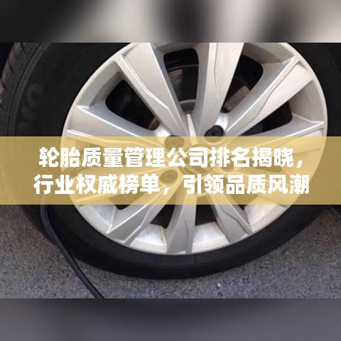 輪胎質量管理公司排名揭曉，行業(yè)權威榜單，引領品質風潮！