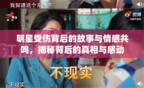 明星受傷背后的故事與情感共鳴，揭秘背后的真相與感動(dòng)