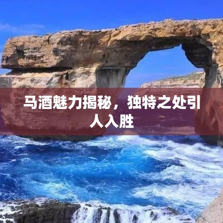 馬酒魅力揭秘，獨特之處引人入勝