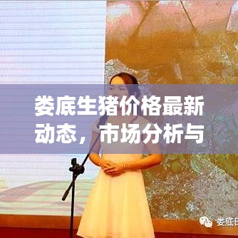 婁底生豬價格最新動態(tài)，市場分析與趨勢預測