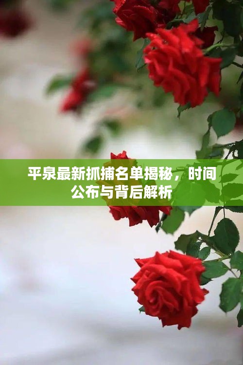 平泉最新抓捕名單揭秘，時間公布與背后解析