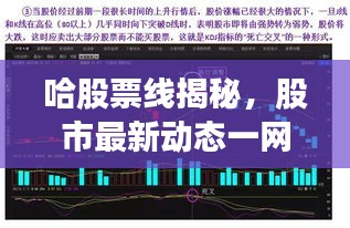 哈股票線揭秘，股市最新動態(tài)一網(wǎng)打盡