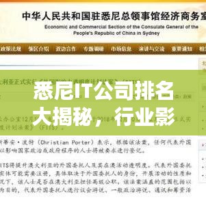 悉尼IT公司排名大揭秘，行業(yè)影響力深度解析
