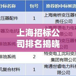 上海招標公司排名揭曉，行業(yè)影響力大揭秘！