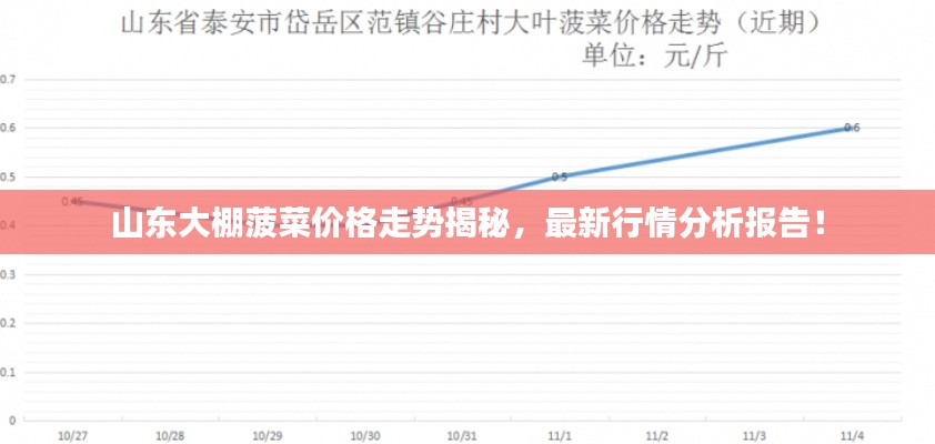 山東大棚菠菜價格走勢揭秘，最新行情分析報告！