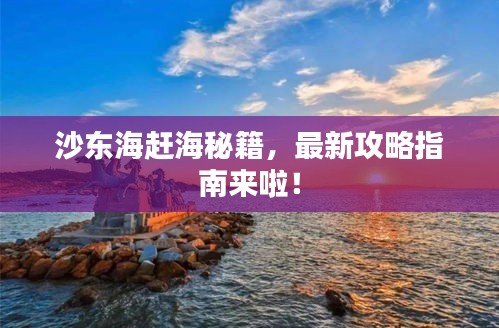 沙東海趕海秘籍，最新攻略指南來啦！