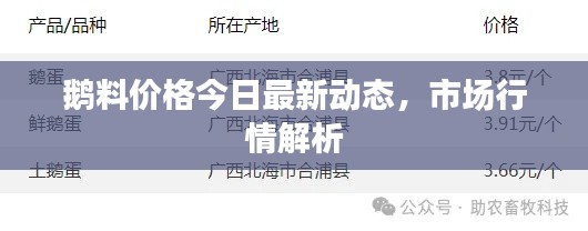鵝料價(jià)格今日最新動態(tài)，市場行情解析