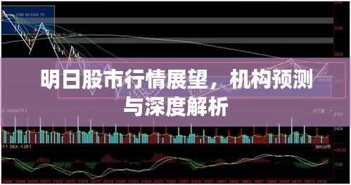 明日股市行情展望，機構預測與深度解析