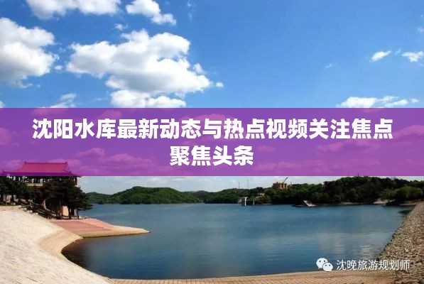 沈陽水庫最新動態(tài)與熱點視頻關注焦點聚焦頭條