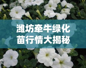 濰坊牽牛綠化苗行情大揭秘，最新價(jià)格分析與趨勢(shì)預(yù)測(cè)