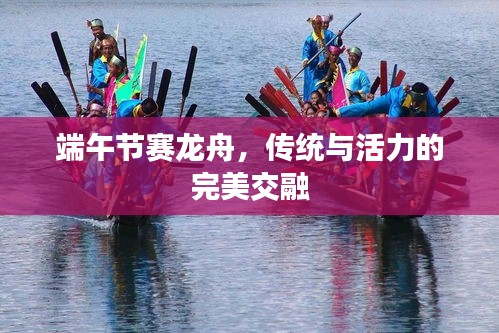 端午節(jié)賽龍舟，傳統(tǒng)與活力的完美交融