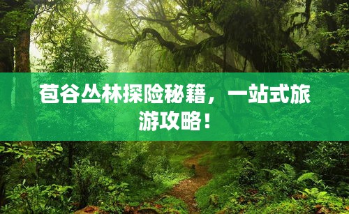 苞谷叢林探險秘籍，一站式旅游攻略！