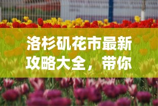 洛杉磯花市最新攻略大全，帶你暢游花海世界！